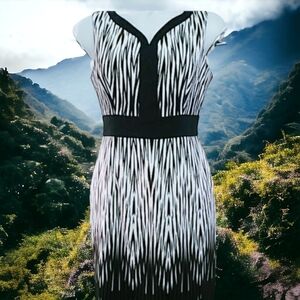 🎉HP🎉 London Times Petites printed dress  SZ 6P